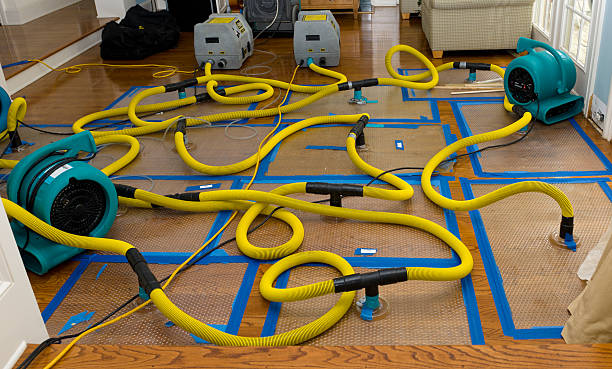 Professional Water Extraction technician working in Fall River, WI